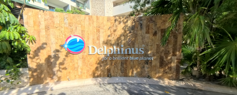 Delphinus Playa Mujeres