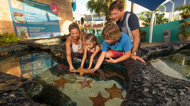 Interactive Aquarium